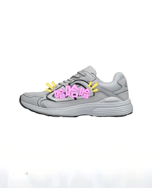 Dior B22 Grey