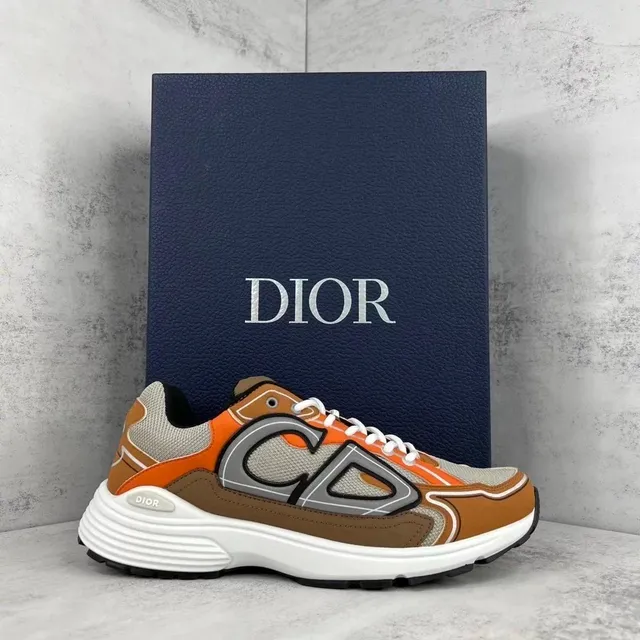 Dior B22 Multicolor