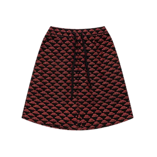 Balenciaga A-Line Skirt