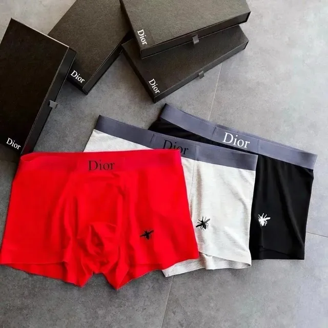 Dior Boxer Briefs Spider Logo