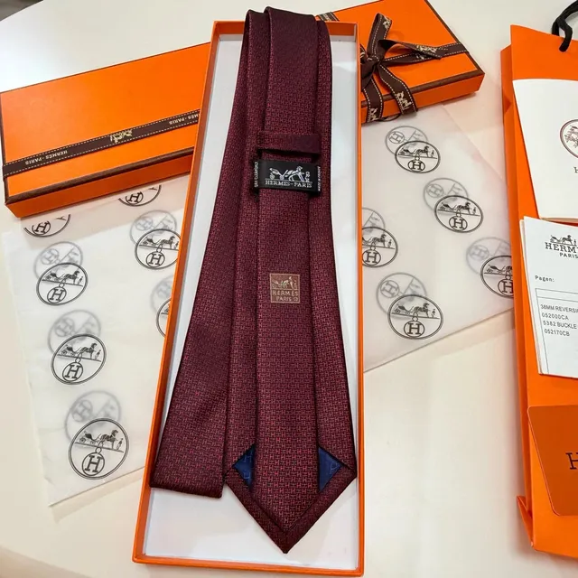 Hermès Silk Tie