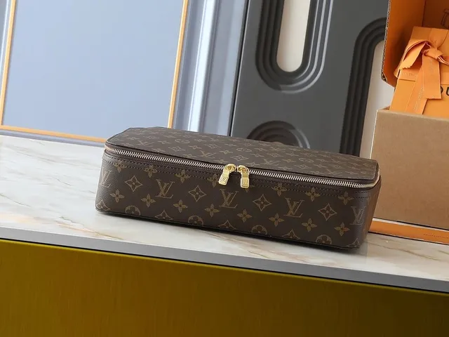 Louis Vuitton Shoe Box