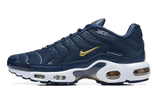 Nike Air Max Plus Navy Gold