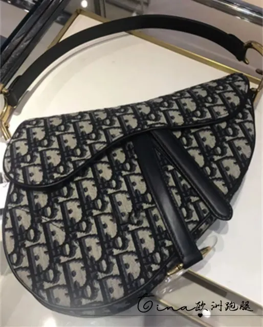 Dior Saddle Bag Oblique Logo