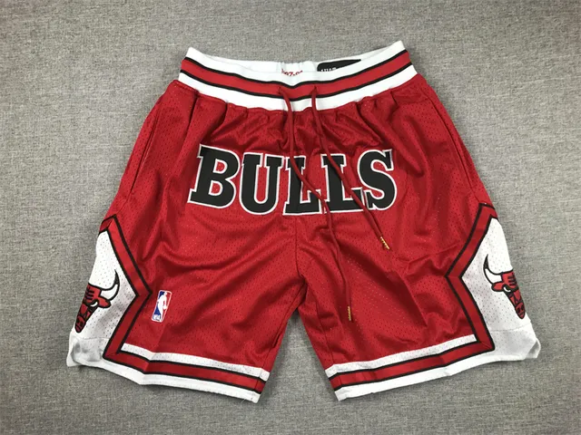 NBA Bulls Mesh Shorts Team Logo