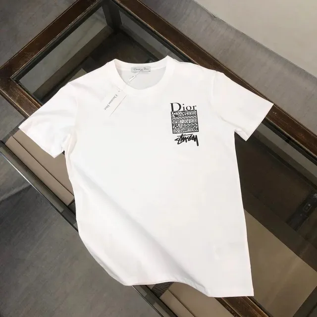 Stüssy Graphic T-Shirt Dior x Stussy Print