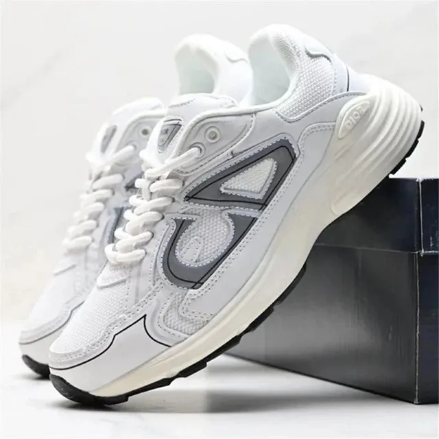 Dior B22 White Grey