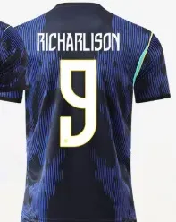 Nike Football Jersey Richarlison #9