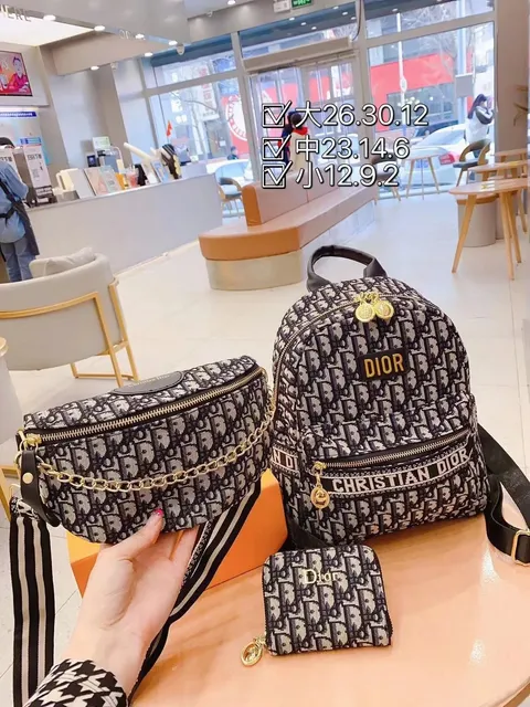 Dior B22 Backpack & Belt Bag Set Oblique Print
