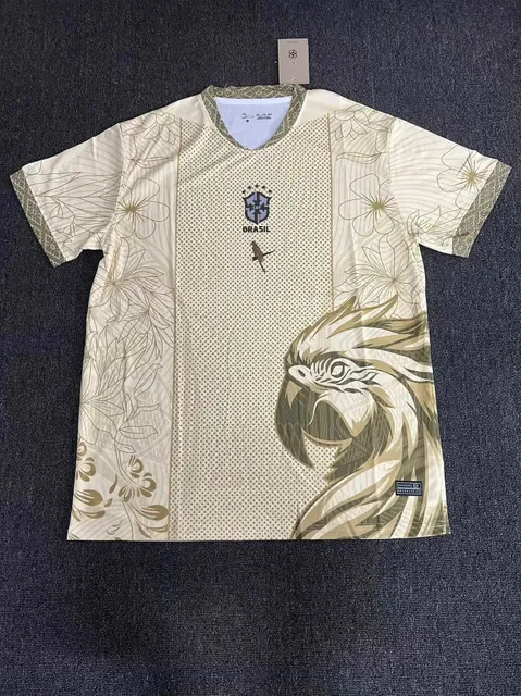 巴西11