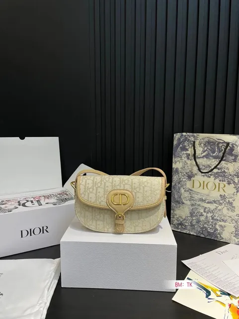 Dior B22 Saddle Bag Oblique Canvas