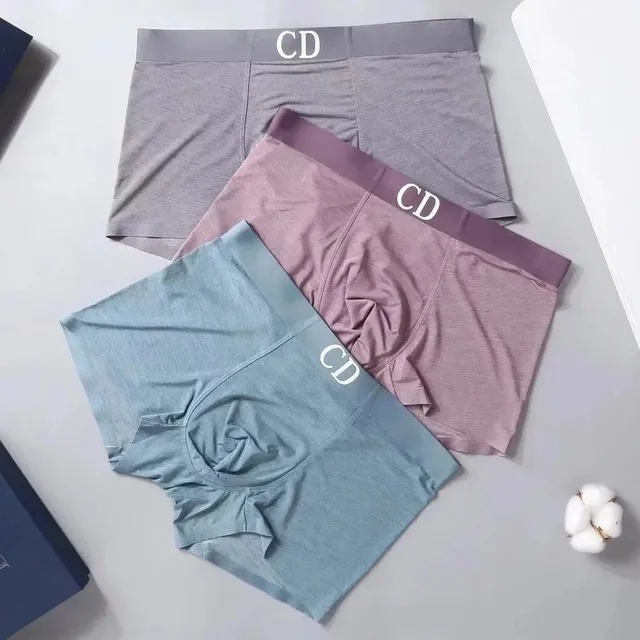 Boxer Briefs CD Logo Waistband