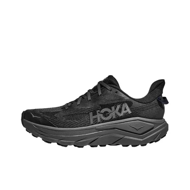 Hoka sneakers