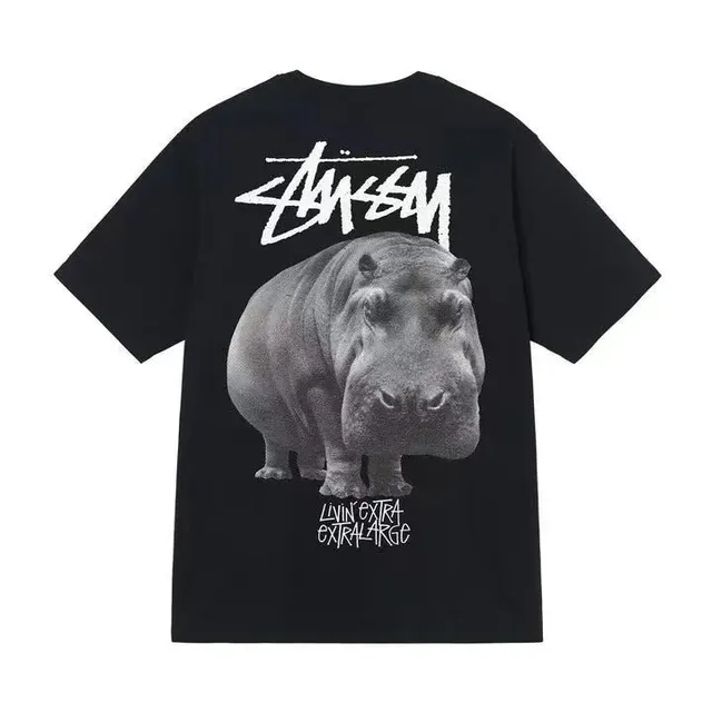 Stüssy t shirts