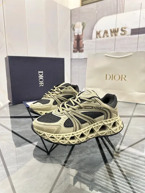 Dior × KAWS B22 Trainer Beige Black Mesh