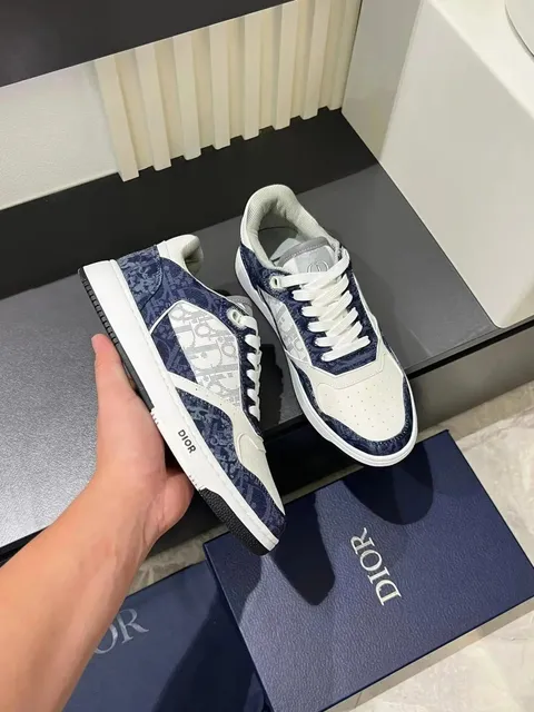 Dior B23 Low Top Oblique Print