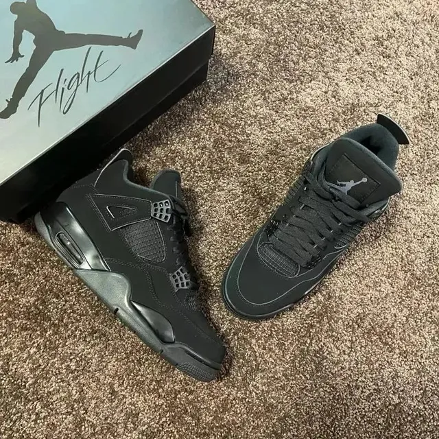 KZ AJ4黑猫 CU1110-010 9
