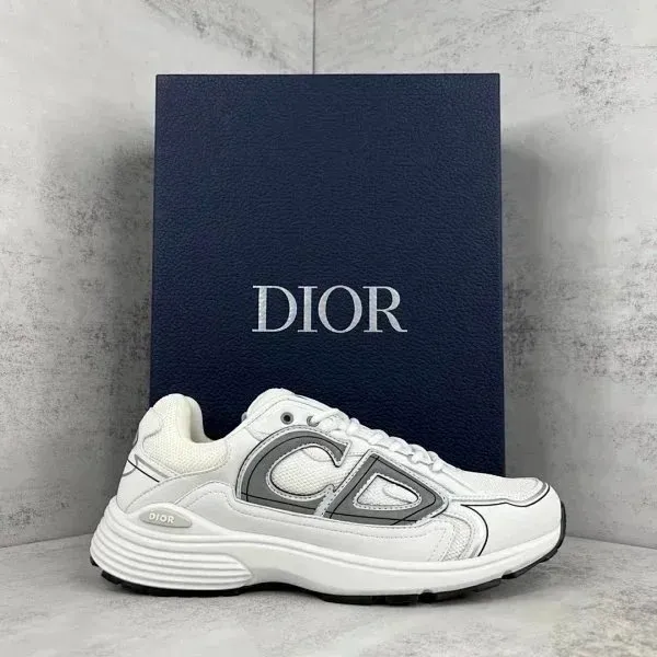 Dior B22 White Grey