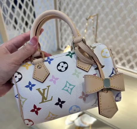 Louis Vuitton Speedy 20 Monogram Multicolore