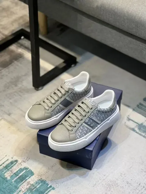 Dior B22 Low Oblique Print