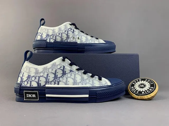 Dior B22 Low Oblique Print