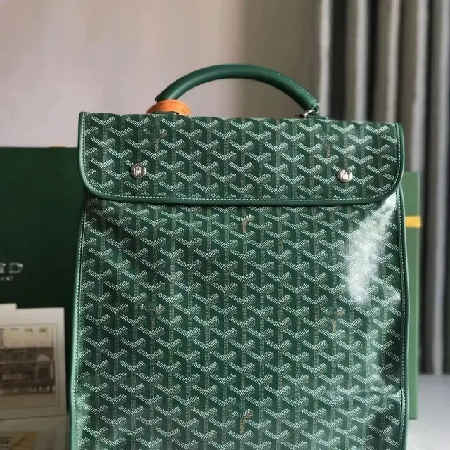 Goyard Saint Louis Green Chevron