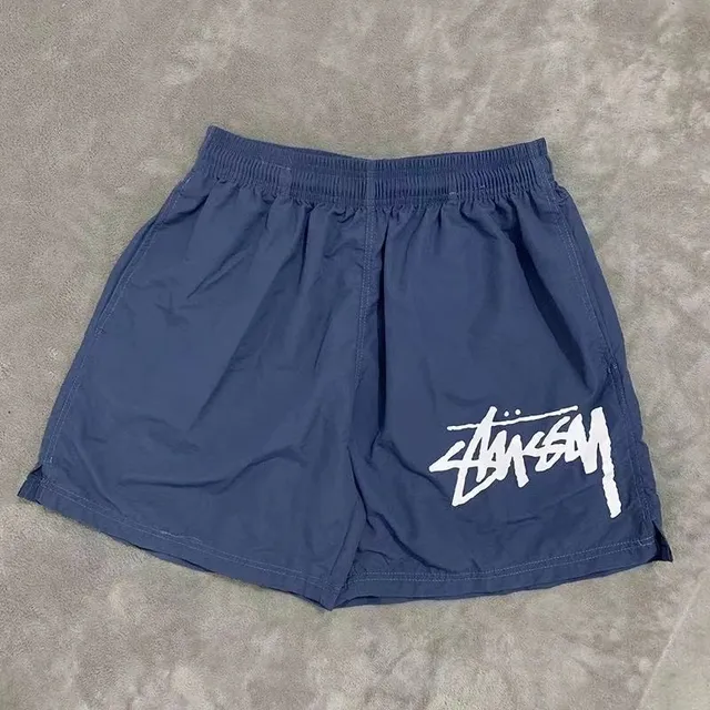 Stüssy Logo Shorts Script Logo