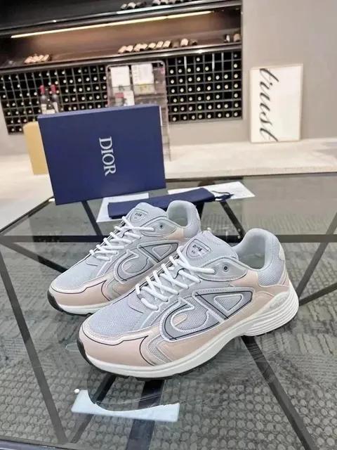 Dior B22 Mesh and Leather