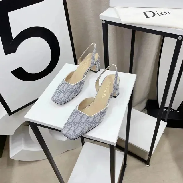 Dior B22 Slingback Oblique Print
