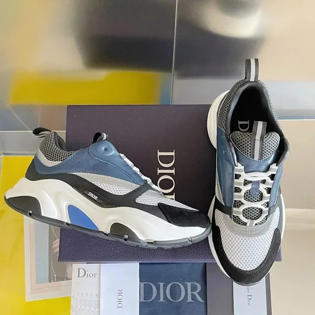 Dior B22 Blue White Black