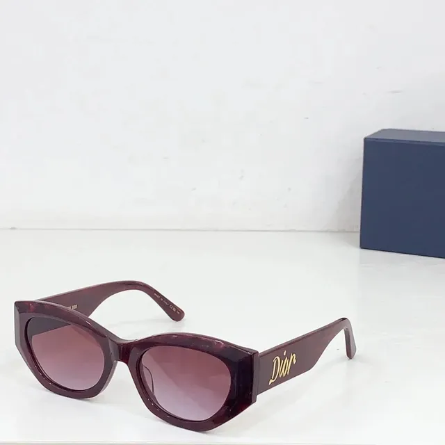 Dior Sunglasses Acetate Frame with Gold Logo