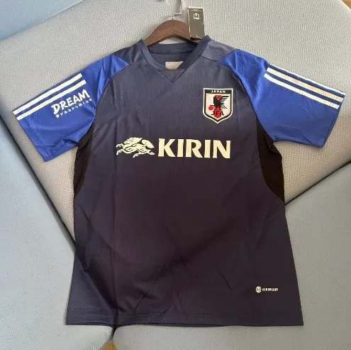 24-25日本赛前服