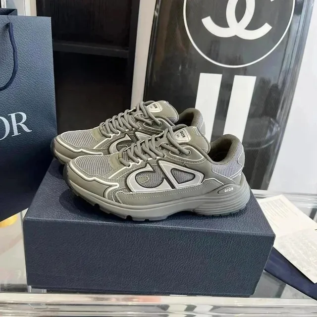 Dior B23 Low Grey Mesh