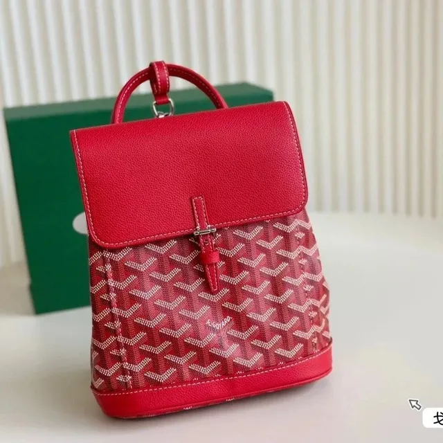 Goyard St. Louis Backpack Chevron Canvas