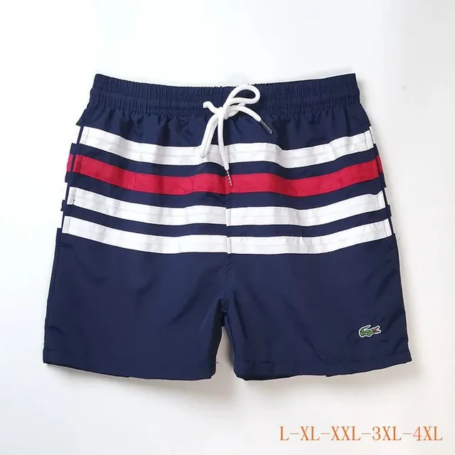 Lacoste Swim Shorts Striped