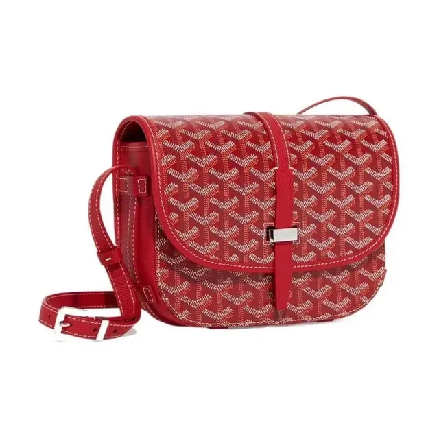 Goyard Saint Louis Chevron Canvas