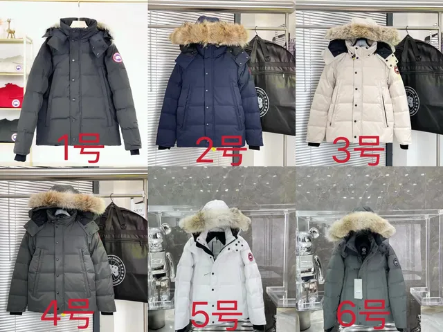 Canada Goose Parka Fur-Trimmed Hooded Puffer