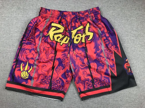 NBA Basketball Shorts Toronto Raptors Graphic