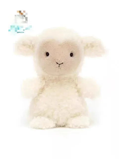 Curly haired lamb