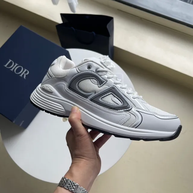 Dior B22 White Grey