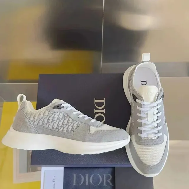 Dior B23 Low Oblique Print