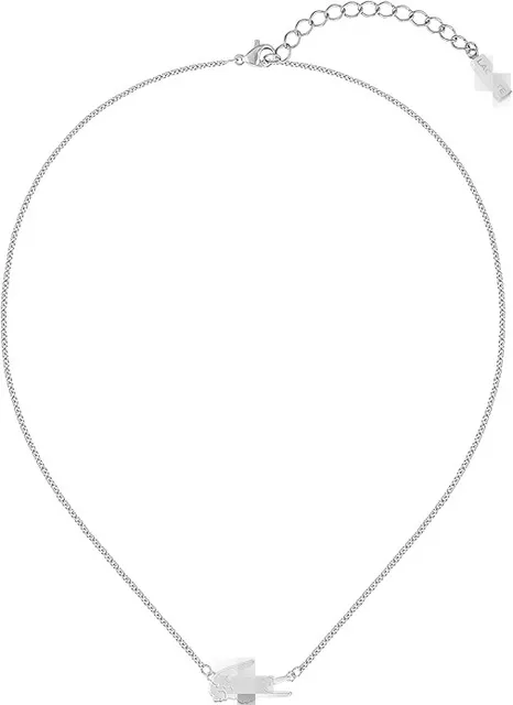 Steel women's necklace+box