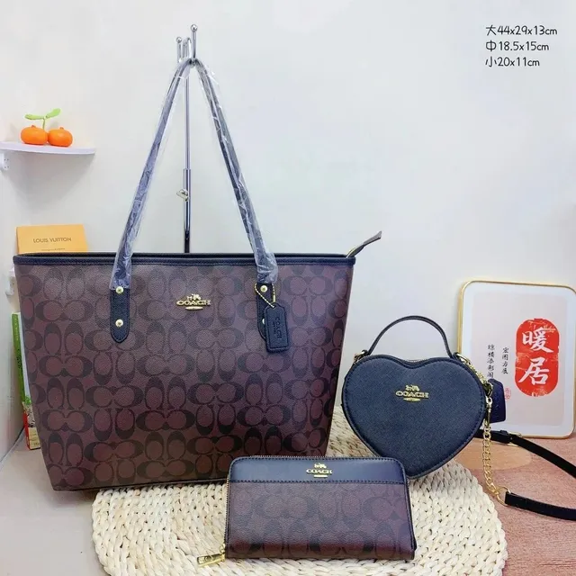 Coach Signature Tote Set Monogram Canvas