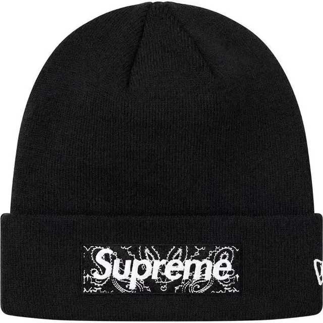 Supreme × New Era Box Logo Beanie Paisley