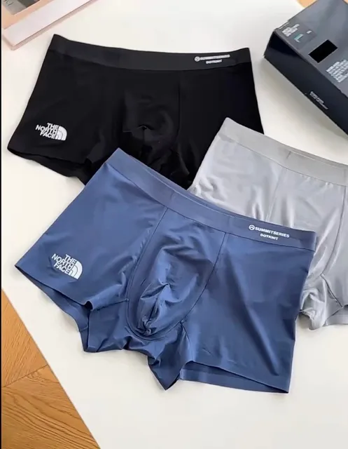 The North Face Summit Series Boxer Brief Performance Stretch