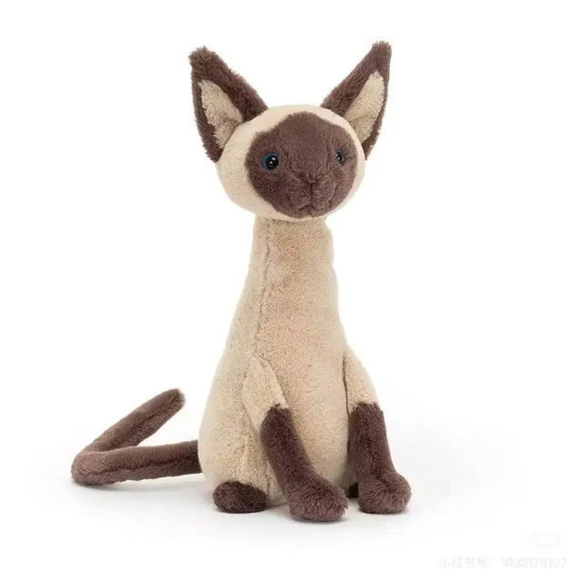 Siamese cat
