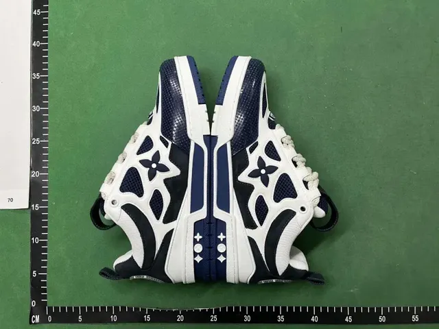 Louis Vuitton LV Trainer Monogram Flower