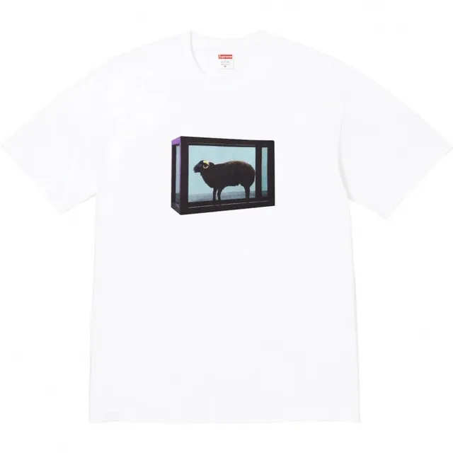 004白色
