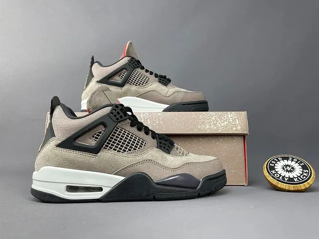 Air Jordan 4 Desert Sand