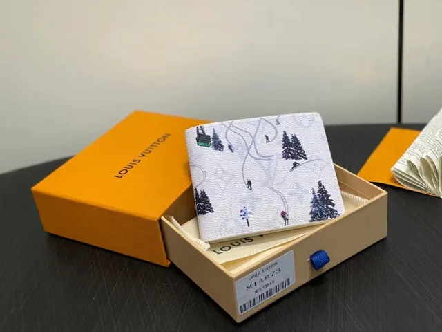 Louis Vuitton Multiple Wallet Ski Print